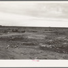 The last frontier. Kern County, California. No water, no shade, no sanitation for the families who camp here during the potato harvesting season. When the season is over they move on. The tin cans and rubbish remain