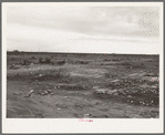 The last frontier. Kern County, California. No water, no shade, no sanitation for the families who camp here during the potato harvesting season. When the season is over they move on. The tin cans and rubbish remain