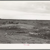 The last frontier. Kern County, California. No water, no shade, no sanitation for the families who camp here during the potato harvesting season. When the season is over they move on. The tin cans and rubbish remain