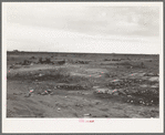 The last frontier. Kern County, California. No water, no shade, no sanitation for the families who camp here during the potato harvesting season. When the season is over they move on. The tin cans and rubbish remain