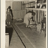 Living conditions of workers in agriculture on whom depend the crops of California. Family of migratory cotton pickers, originally from Oklahoma, living in abandoned cow barn. Note bed in corner. Kern County, California