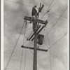 Rural electrification. San Joaquin Valley, California