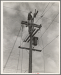 Rural electrification. San Joaquin Valley, California