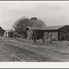 Rural rehabilitation, Tulare County, California. In 1936 this family was on relief. With a Farm Security Administration (FSA) loan of seven hundred and eighty dollars, they were able to purchase and install an irrigating pump for the vineyard, a team...