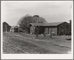 Rural rehabilitation, Tulare County, California. In 1936 this family was on relief. With a Farm Security Administration (FSA) loan of seven hundred and eighty dollars, they were able to purchase and install an irrigating pump for the vineyard, a team...