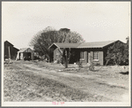 Rural rehabilitation, Tulare County, California. In 1936 this family was on relief. With a Farm Security Administration (FSA) loan of seven hundred and eighty dollars, they were able to purchase and install an irrigating pump for the vineyard, a team...