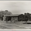 Rural rehabilitation, Tulare County, California. In 1936 this family was on relief. With a Farm Security Administration (FSA) loan of seven hundred and eighty dollars, they were able to purchase and install an irrigating pump for the vineyard, a team, and the balance gave them subsistence and operating expenses for the first grape season