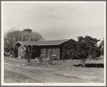 Rural rehabilitation, Tulare County, California. In 1936 this family was on relief. With a Farm Security Administration (FSA) loan of seven hundred and eighty dollars, they were able to purchase and install an irrigating pump for the vineyard, a team, and the balance gave them subsistence and operating expenses for the first grape season
