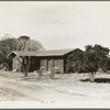 Rural rehabilitation, Tulare County, California. In 1936 this family was on relief. With a Farm Security Administration (FSA) loan of seven hundred and eighty dollars, they were able to purchase and install an irrigating pump for the vineyard, a team, and the balance gave them subsistence and operating expenses for the first grape season