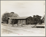 Rural rehabilitation, Tulare County, California. In 1936 this family was on relief. With a Farm Security Administration (FSA) loan of seven hundred and eighty dollars, they were able to purchase and install an irrigating pump for the vineyard, a team, and the balance gave them subsistence and operating expenses for the first grape season