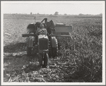 Twenty-four clients of Farm Security Administration (FSA) under the Rural Rehabilitation program, have cooperatively bought and cooperatively operated an all-crop harvester