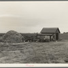 Small farm. Kern County, California