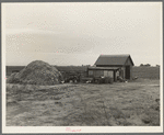 Small farm. Kern County, California