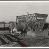 Farmyard scene. Farm of Farm Security Administration (FSA) rural rehabilitation client. Tulare County, California