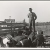 Farm Security Administration (FSA) rural rehabilitation client. Tulare County, California