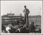 Farm Security Administration (FSA) rural rehabilitation client. Tulare County, California