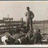 Farm Security Administration (FSA) rural rehabilitation client. Tulare County, California