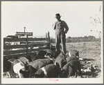 Farm Security Administration (FSA) rural rehabilitation client. Tulare County, California