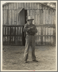 Small cotton farmer, Kern County, California. He leases the land, and pays 1/4 of the crop for rent, also pays the water bill (irrigation). "It's come to that there's not going to be any more small farms in California"