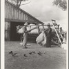 Small cotton farm, Kern County, California. The farmer keeps accounts. Each picker weighs his sack of cotton. In this case the sack weighs approximately fifty pounds