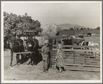 Rural rehabilitation, Tulare County, California. This farm couple have been assisted to independence. In Feburary 1936 they rented a neglected farm of forty acres planted in grapes. They had no equipment, no stock, no seed, no money