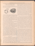 The jewelers' circular and horological review