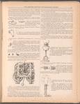 The jewelers' circular and horological review
