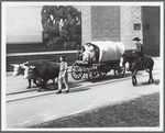 New York World's Fair