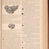 The jewelers' circular and horological review