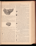 The jewelers' circular and horological review