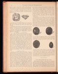 The jewelers' circular and horological review