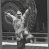 Japanese bugaku dancers performing at New York City Ballet