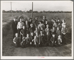 Visalia (vicinity), Tulare County, California. The Farm Security Administration. Miners's cooperative farm. Ten families have been established on the old ranch of 500 acres ... raising cotton alfalfa and dairy products for cash crops
