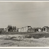 This family from Arkansas had one thousand dollras when they arrived in California. There are eleven children in family. They bought a forty acre piece of land on which they still owe one thousand dollars