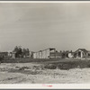 This family from Arkansas had one thousand dollras when they arrived in California. There are eleven children in family. They bought a forty acre piece of land on which they still owe one thousand dollars