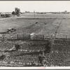 Rural rehabilitation, Tulare County, California. Productive dairy farm replaces unsuccessful fruit orchard. Family had been on relief. They were reestablished by a plan of farm operation ...