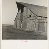 Near Manteca, California. Barn of Farm Security Administration (FSA) tenant purchase client