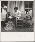 Near Douglas, Georgia. Sharecroppers grade the cured leaves on the porches and sort them to go to the tobacco auction