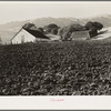 Contra Costa County, California. Stock ranch and plowed field