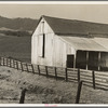 Contra Costa County, California. Cowbarn and hills, California dairy ranch
