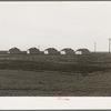 United States government camp for migratory workers (Farm Security Administration-FSA), Westley, California. Pre-fabricated steel shelters replace the use of tents and tent platforms in this newly constructed camp