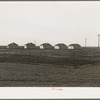 United States government camp for migratory workers (Farm Security Administration-FSA), Westley, California. Pre-fabricated steel shelters replace the use of tents and tent platforms in this newly constructed camp