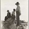Near Shafter, California. Migratory laborers.