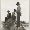 Near Shafter, California. Migratory laborers