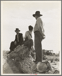 Near Shafter, California. Migratory laborers