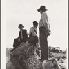 Near Shafter, California. Migratory laborers