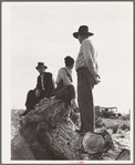 Near Shafter, California. Migratory laborers