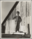 Near Manteca, Calif, Nov., 1938. Son of FSA tenant purchase client