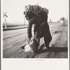 Napa Valley, California. More than twenty-five years a bindle-stiff. Walks from the mines to the lumber camps to the farms. The type that formed the backbone of the Industrial Workers of the World in California before the war
