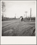 Napa Valley, California. More than twenty-five years a bindle-stiff. Walks from the mines to the lumber camps to the farms. The type that formed the backbone of the Industrial Workers of the World in California before the war